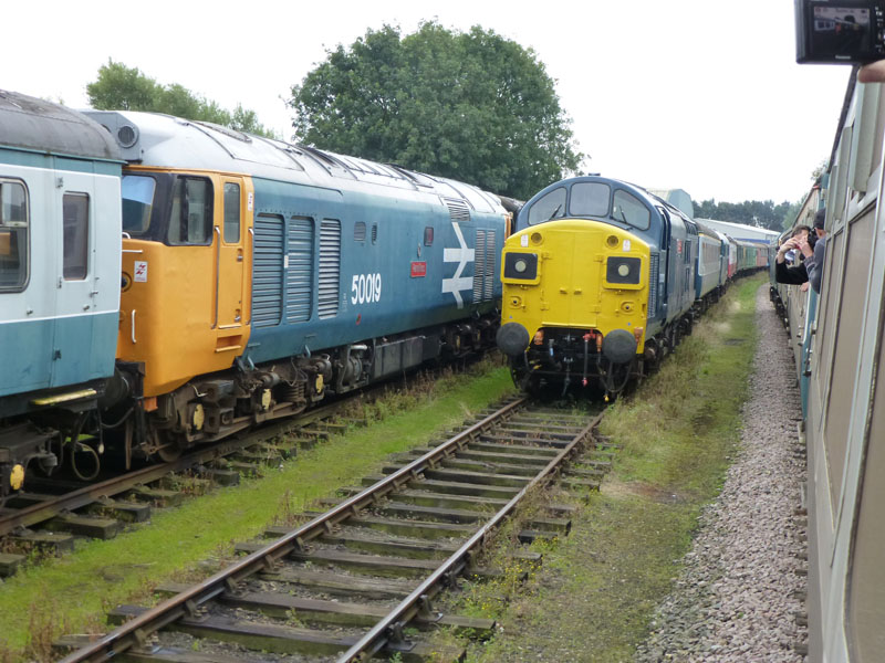 Class 50 and Class 37